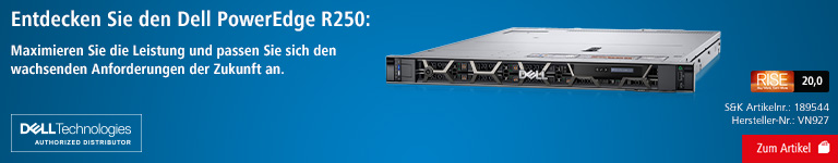 Entdecken Sie den DELL Power Edge R250