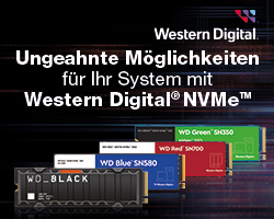 Western Digital NWMe